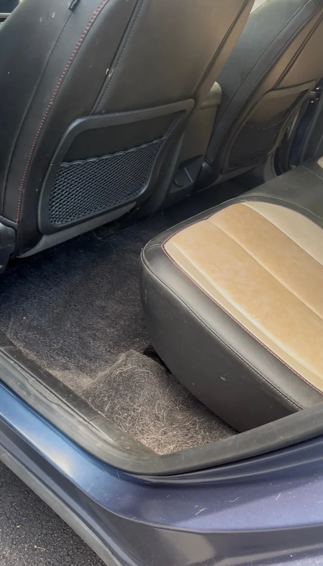 Rear floor pet hair removal — before