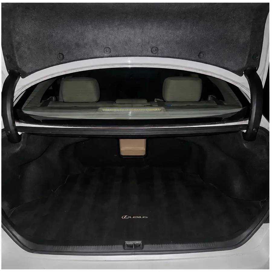 Lexus Trunk — Deep Clean after